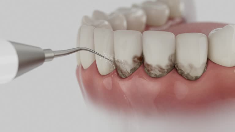 Reliable Dental contractor in Forestdale, AL by Dentist Open Now